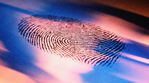 Американский ГосДеп расширяет применение биометрии